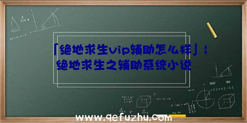 「绝地求生vip辅助怎么样」|绝地求生之辅助系统小说